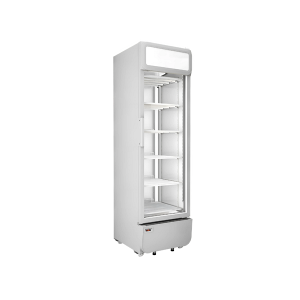 Visi Cooler Single Door – 460 Litre - Image 2